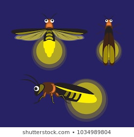 জোনাকি পোকা