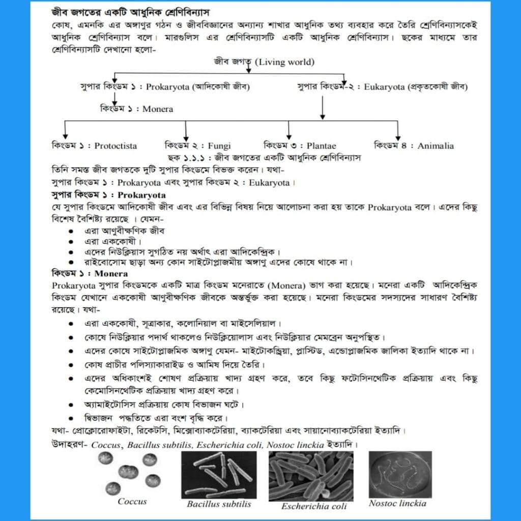 মারগুলিস এর শ্রেণিবিন্যাস
