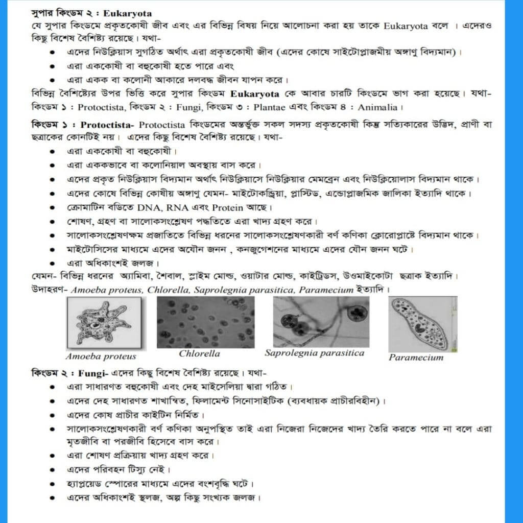 মারগুলিস এর শ্রেণীবিন্যাস