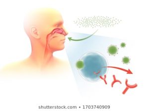 হাঁচি কেন হয়? হাঁচির ভালো মন্দ! হাঁচির মাধ্যমে জীবানু ছড়ায়