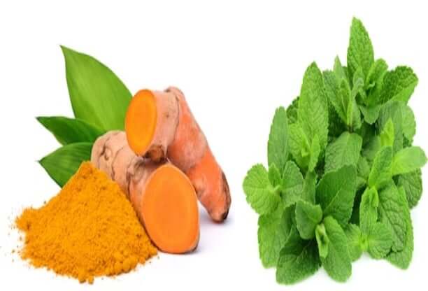 মুখের সাদাশাল দূর করার উপায় হলুদ পুদিনা পাতা