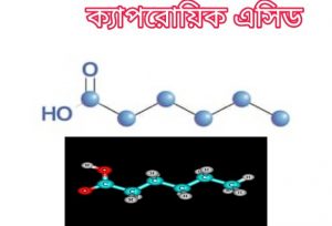 পাঠাঁর গায়ে গন্ধ হওয়ার কারণ ক্যাপরোয়িক এসিড