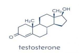 টেস্টোস্টেরন হরমোন