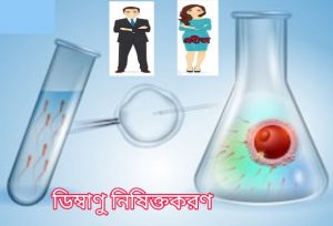 ডিম্বাণু নিষিক্তকরণ