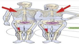 পুরুষের বুকের হাড় মহিলার চেয়ে কম থাকে কি?