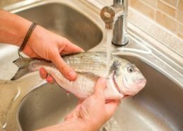 মাছের আঁশটে গন্ধের কারণ কি?