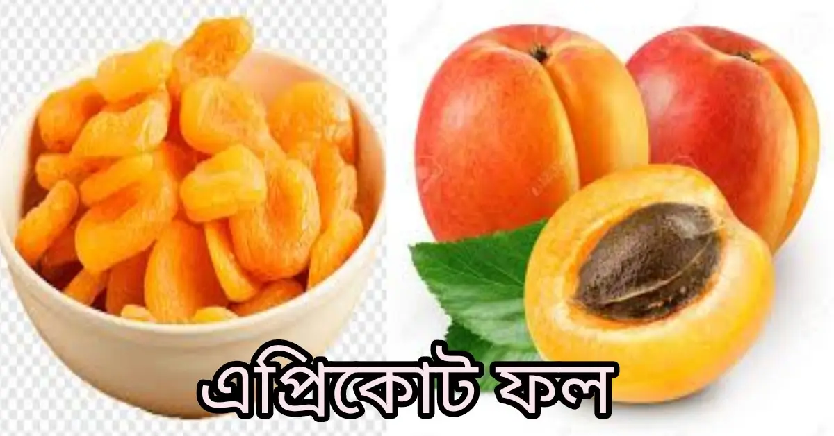 ক্যান্সার প্রতিরোধক ফল|কান্সারের ঝুঁকি কমায় এই ১৫ টি ফল# এপ্রিকোট ফল
