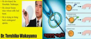 ক্লোনিংয়ে ব্যবহৃত হনলুলু পদ্ধতিঃ
