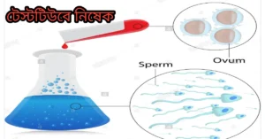 টেস্টটিউবে নিষেক