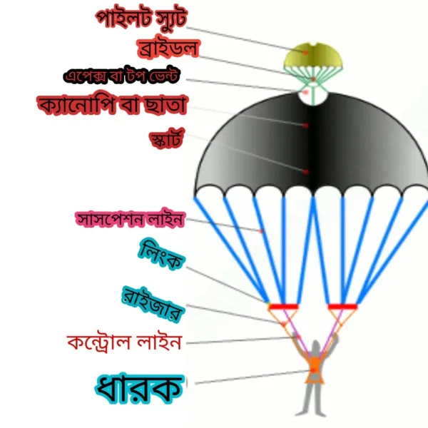 প্যারাসুট কী? প্যারাসুট এর ইতিহাস,গঠন,কাজ# প্যারাসুটের গঠন