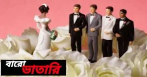 বরোভাতারি মানে কি? বরোভাতারি অর্থ# বরোভাতারি মানে কি