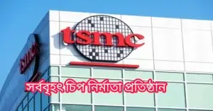 সর্ববৃহৎ চিপ নির্মাতা প্রতিষ্ঠান