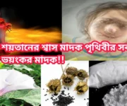 শয়তানের শ্বাস মাদক কী? সবচেয়ে ভয়ংকর মাদক স্কোপোলামিন!
