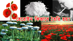 হেরোইন কিভাবে তৈরি হয়?